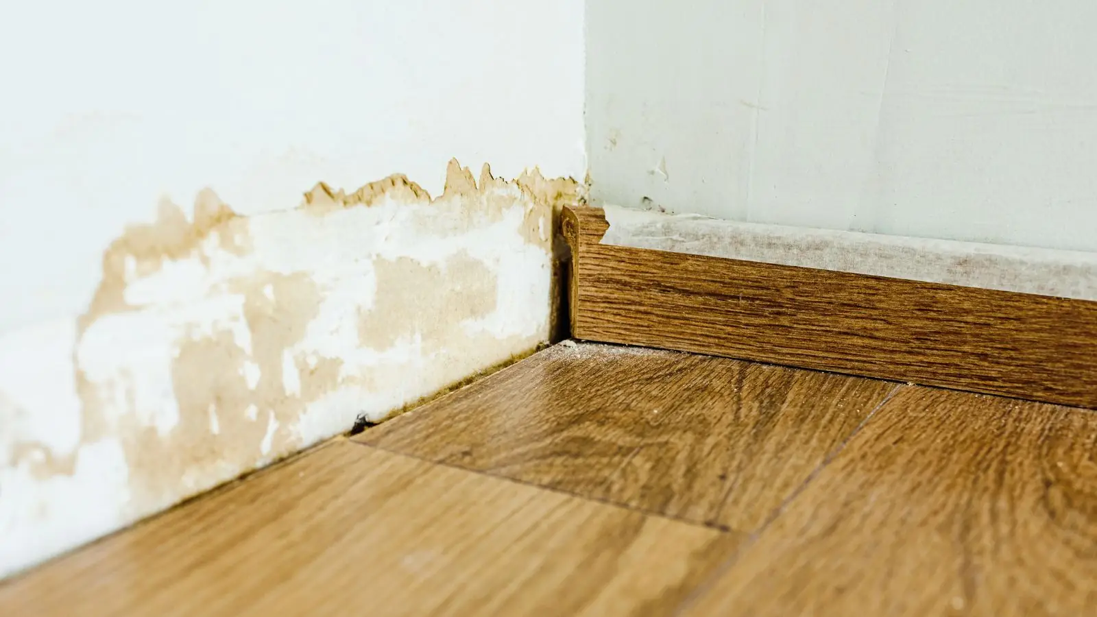 Water-stained baseboard and wood floor along a wall